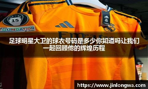 足球明星大卫的球衣号码是多少你知道吗让我们一起回顾他的辉煌历程